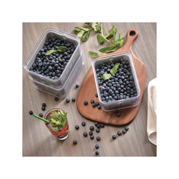 InterDesign / Контейнер CRISP для холодильника со съемной корзиной 21х16х9,5см (101296)